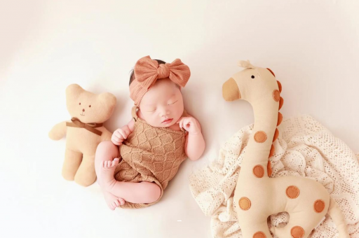 乌兰察布宝宝虾的做法 乌兰察布宝宝虾的做法